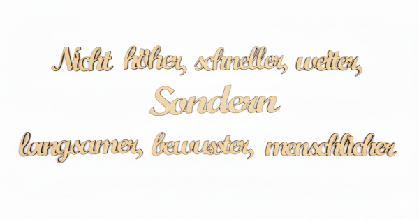 Lettering - Not higher, faster, further, but slower, more conscious, more human