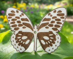 Schmetterling